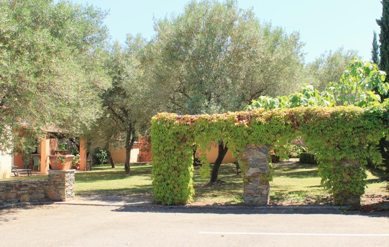 Domaine Le Clos Des Oliviers Sorbo-Ocagnano Exteriör bild