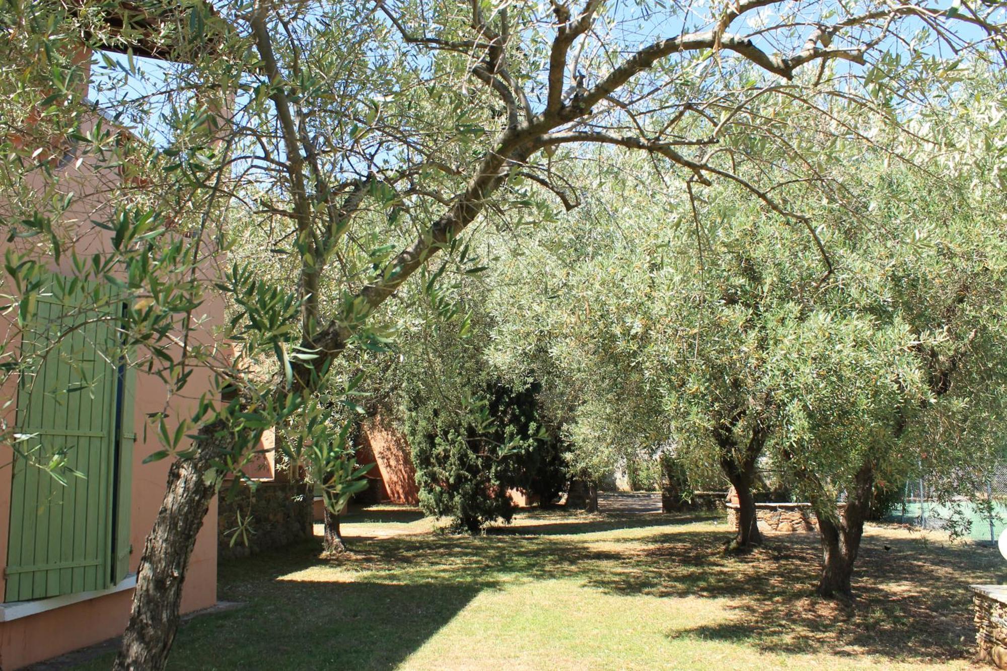Domaine Le Clos Des Oliviers Sorbo-Ocagnano Exteriör bild