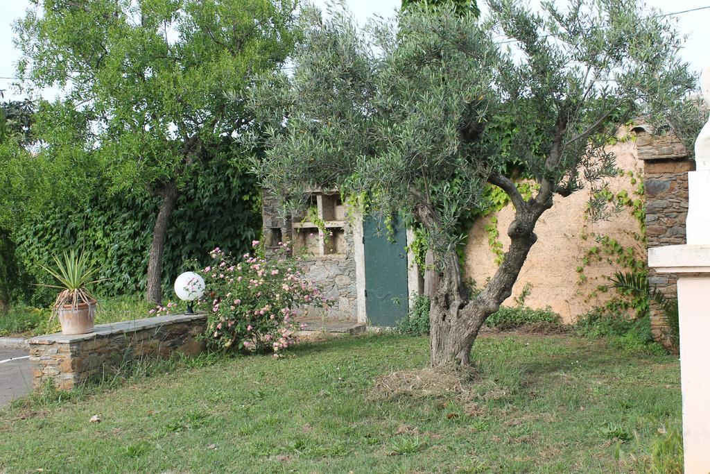 Domaine Le Clos Des Oliviers Sorbo-Ocagnano Exteriör bild