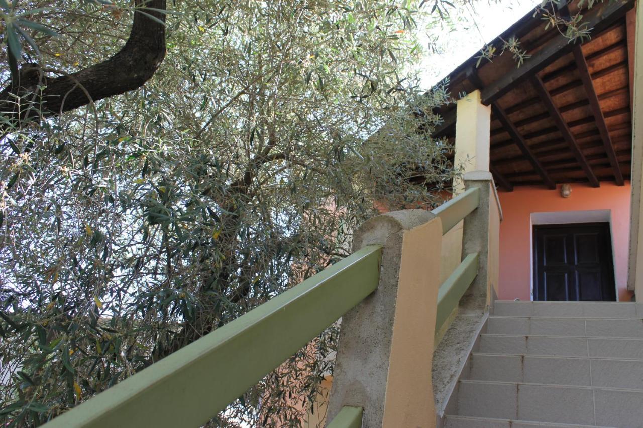 Domaine Le Clos Des Oliviers Sorbo-Ocagnano Exteriör bild